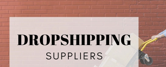 dropshipping business model