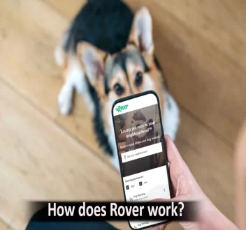 what is rover