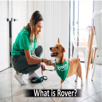 what is rover